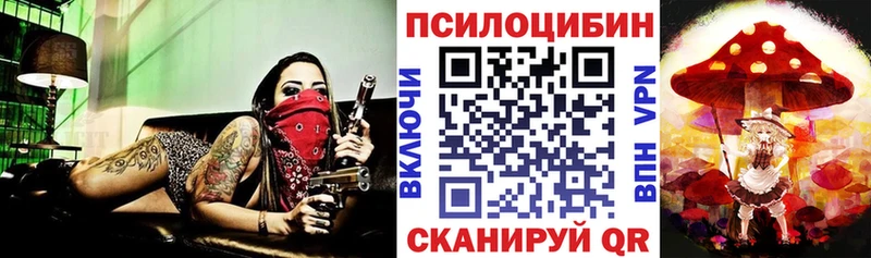 Псилоцибиновые грибы MAGIC MUSHROOMS  где можно купить наркотик  Лермонтов 