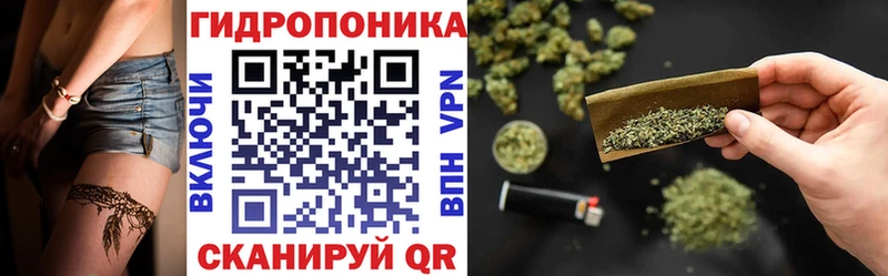 как найти наркотики  Лермонтов  Бошки марихуана марихуана 